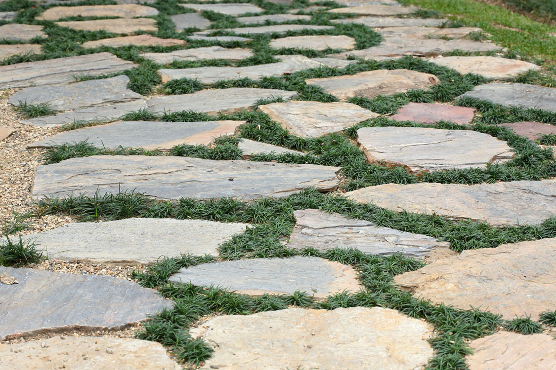 Different Stepping Stone Paver Ideas, Designs and Materials