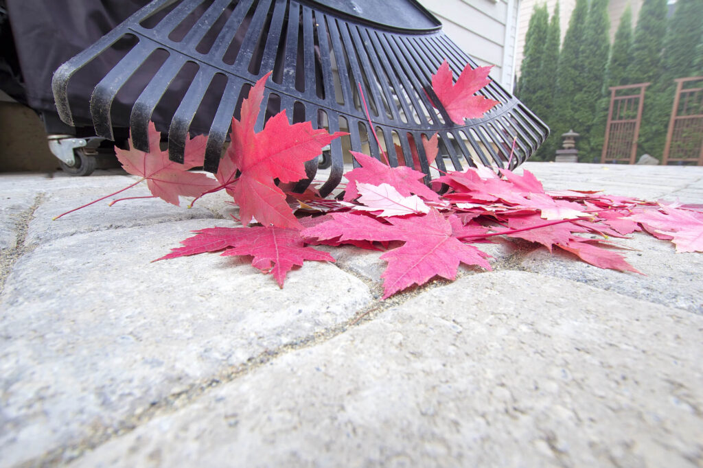 How to Clean Concrete Pavers